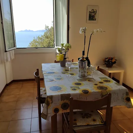 Al Mare Davanti A Portofino - By The Sea In Front Of Portofino Apartment *